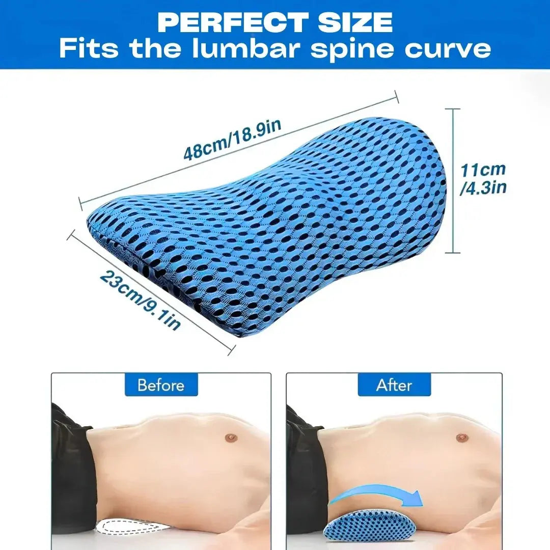 Memory Foam Lumbar Support Pillow, Lower Back Cushion for Office Chair and Car, Mesh Cover