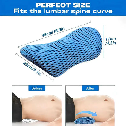 Memory Foam Lumbar Support Pillow, Lower Back Cushion for Office Chair and Car, Mesh Cover