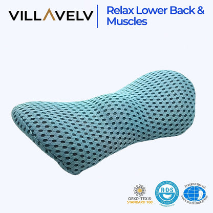 Memory Foam Lumbar Support Pillow, Lower Back Cushion for Office Chair and Car, Mesh Cover