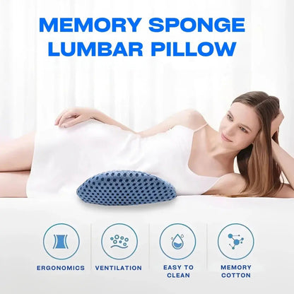 Memory Foam Lumbar Support Pillow, Lower Back Cushion for Office Chair and Car, Mesh Cover